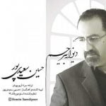 آهنگ دیوانه بی رحم با صدای حسین سعیدی